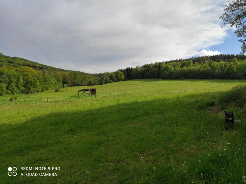 Apartmán Apartmán pod Sříbrnou horou Lhenice Exteriér fotografie