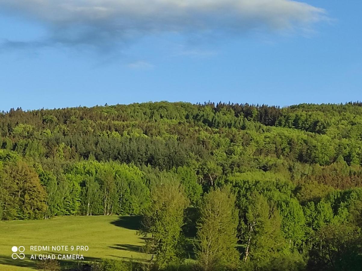 Apartmán Apartmán pod Sříbrnou horou Lhenice Exteriér fotografie