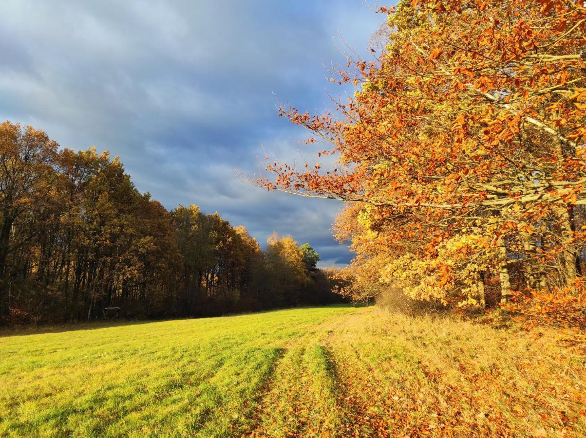 Apartmán Apartmán pod Sříbrnou horou Lhenice Exteriér fotografie