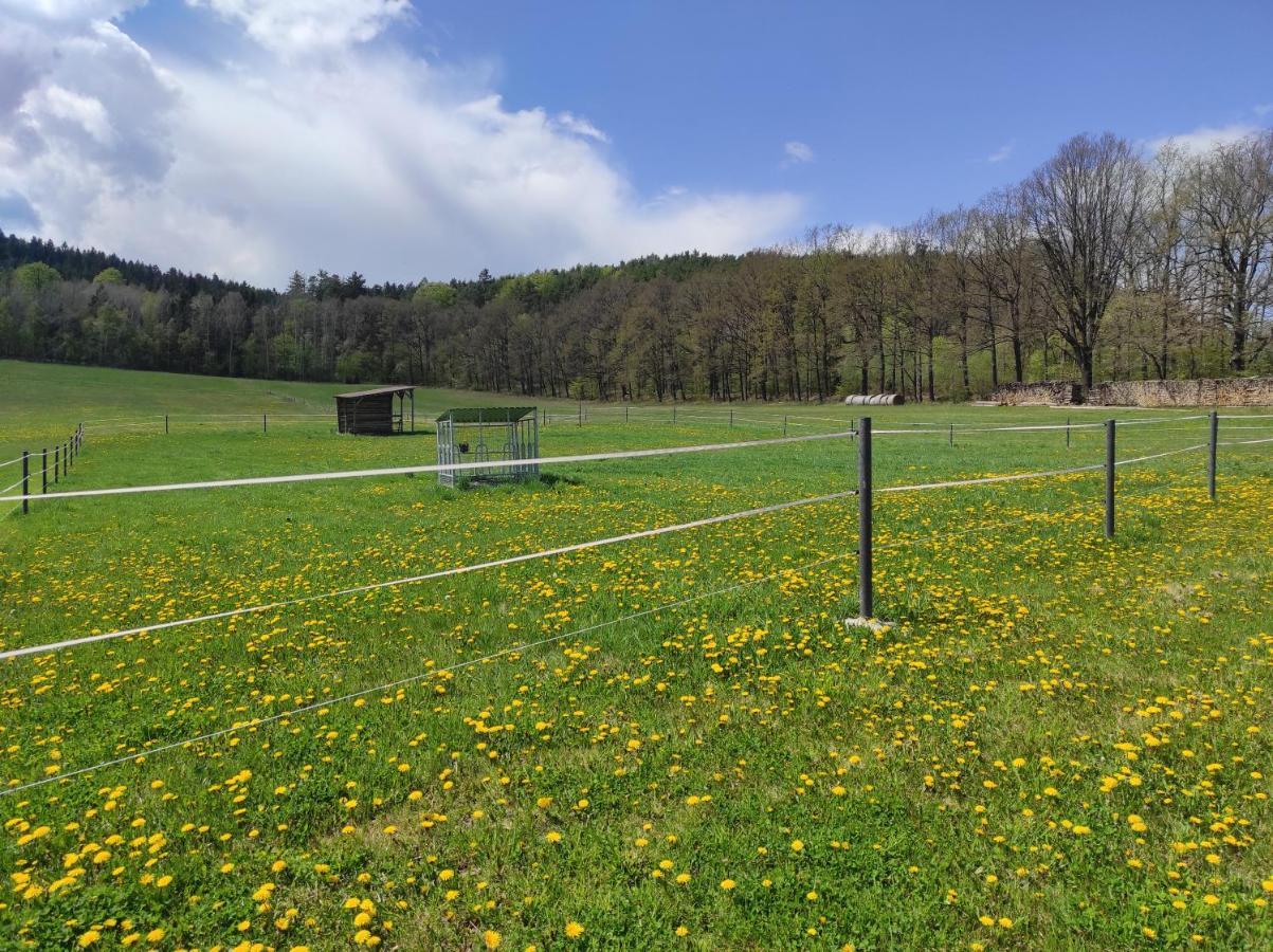 Apartmán Apartmán pod Sříbrnou horou Lhenice Exteriér fotografie