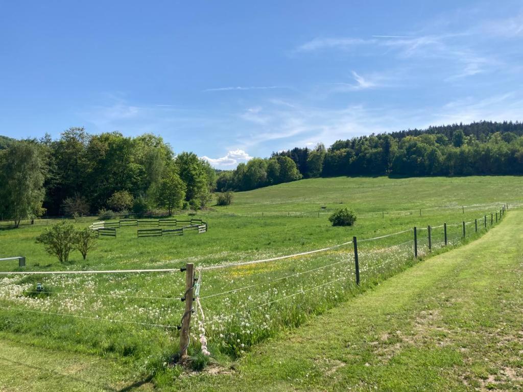 Apartmán Apartmán pod Sříbrnou horou Lhenice Exteriér fotografie